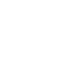 FORTEM CAPITAL