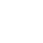 virreyes